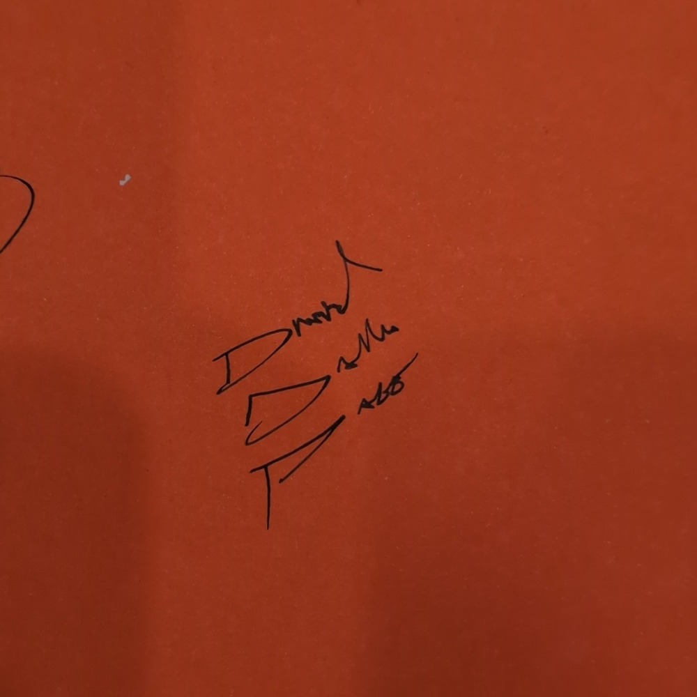 Wrestling Madness Matt Hunter Book 8 Signatures Autographed Sting Dustin Rhodes - Picture 8 of 11